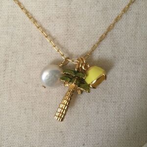 New J Crew Beachy charm chain necklace